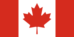 undefined Flag