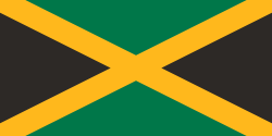 Usain BOLT Flag