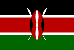undefined Flag