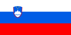 undefined Flag