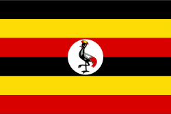 undefined Flag