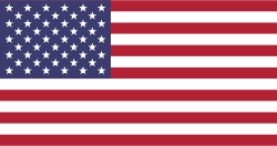 Tyson GAY Flag
